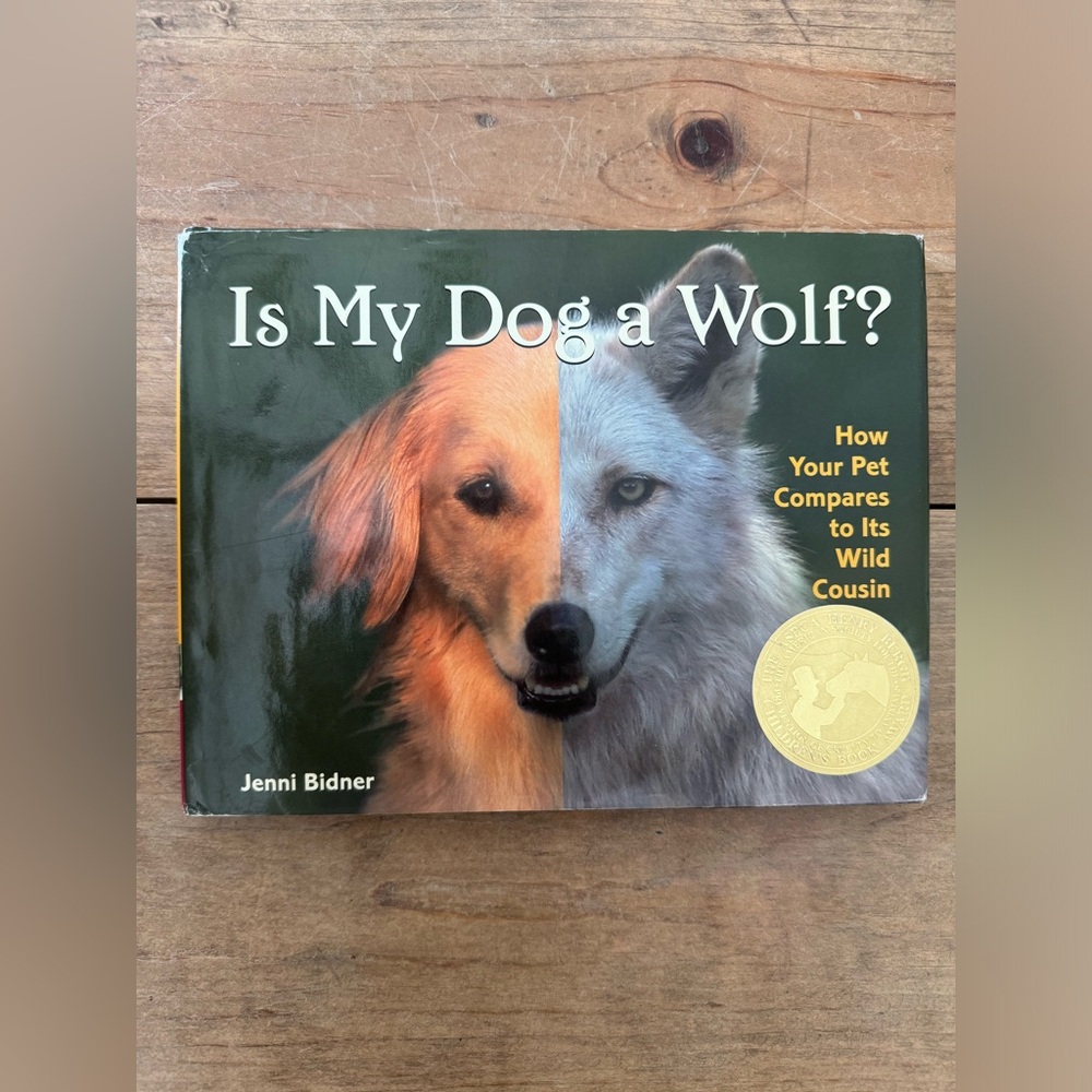 Is My Dog a Wolf: How your pet compares to its wild cousin